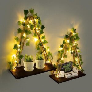 رف حائط ديكوري بإضاءة نباتية LED