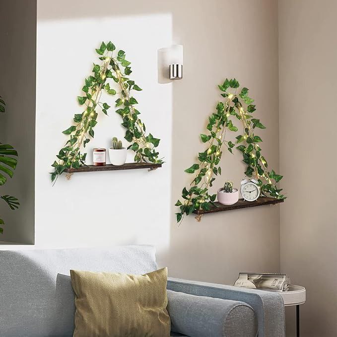 رف حائط ديكوري بإضاءة نباتية LED - الصورة 3